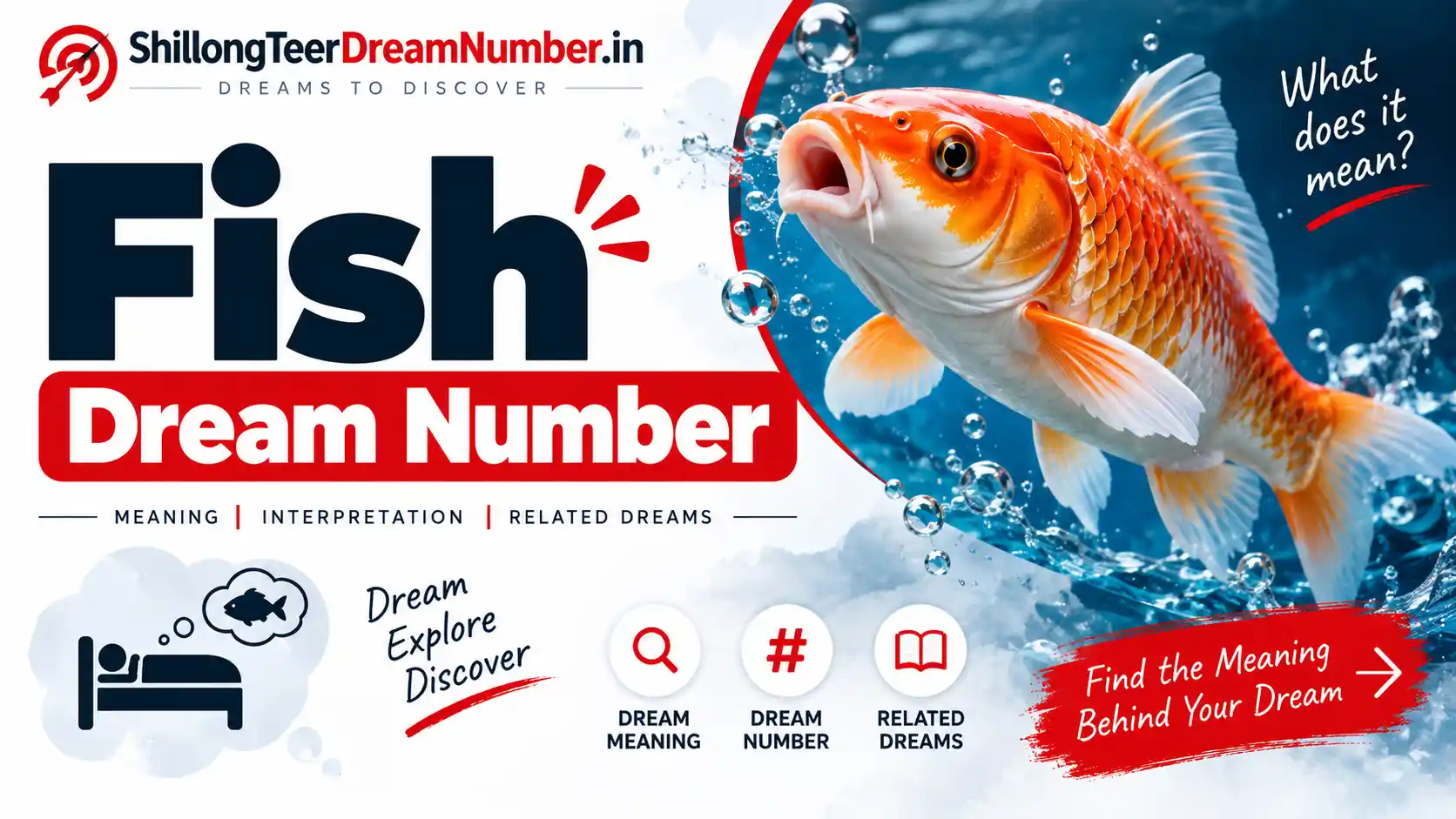 Fish - Shillong Teer Dream Number