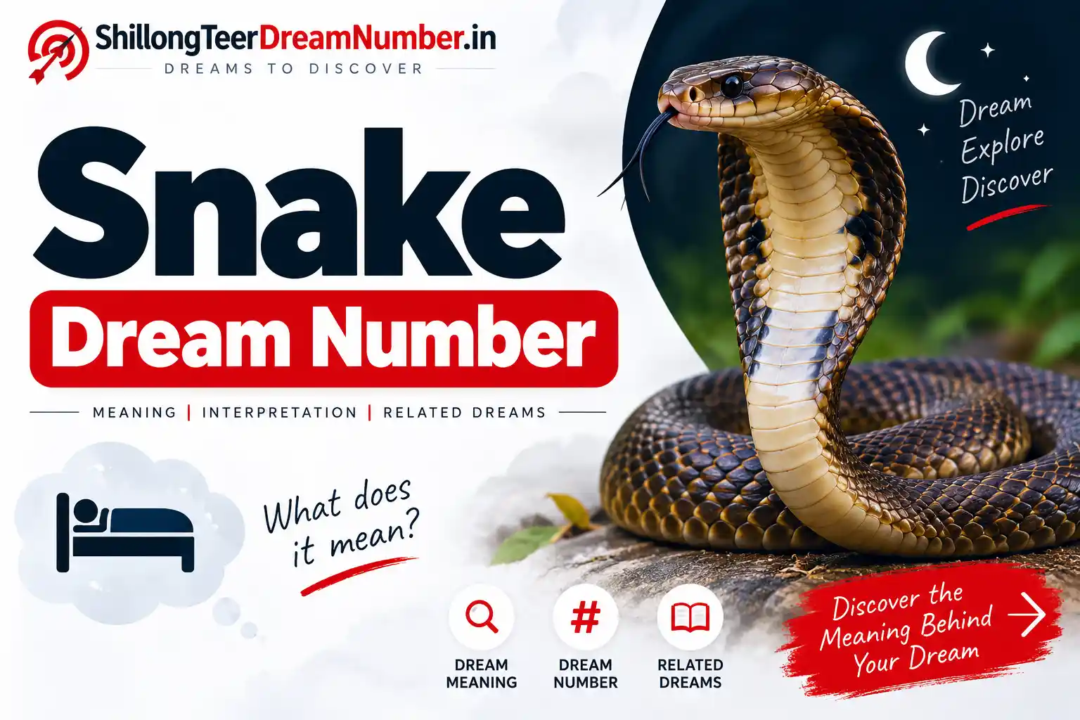 Snake - Shillong Teer Dream Numbers