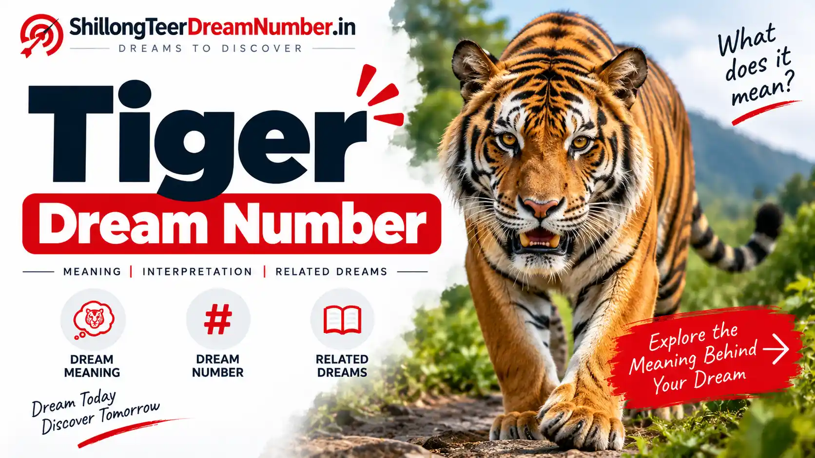 Tiger - Shillong Teer Dream Number
