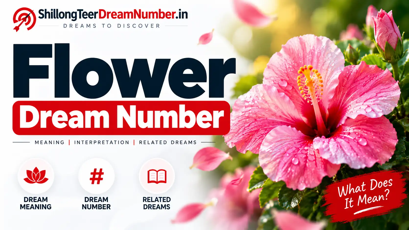 Flower Shillong Teer Dream Number: 35, 99 | House 2, Ending 6